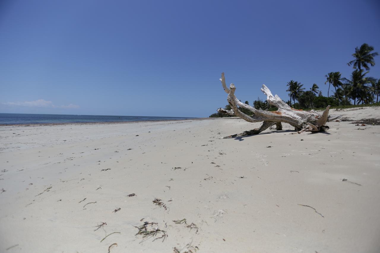 The Beach Crab Resort Pangani ภายนอก รูปภาพ